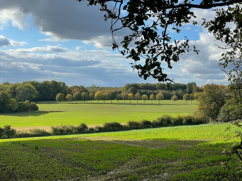 06.09.2026: Unterwegs in Teitekerlkens Land – den Baumbergen, 48329 Havixbeck