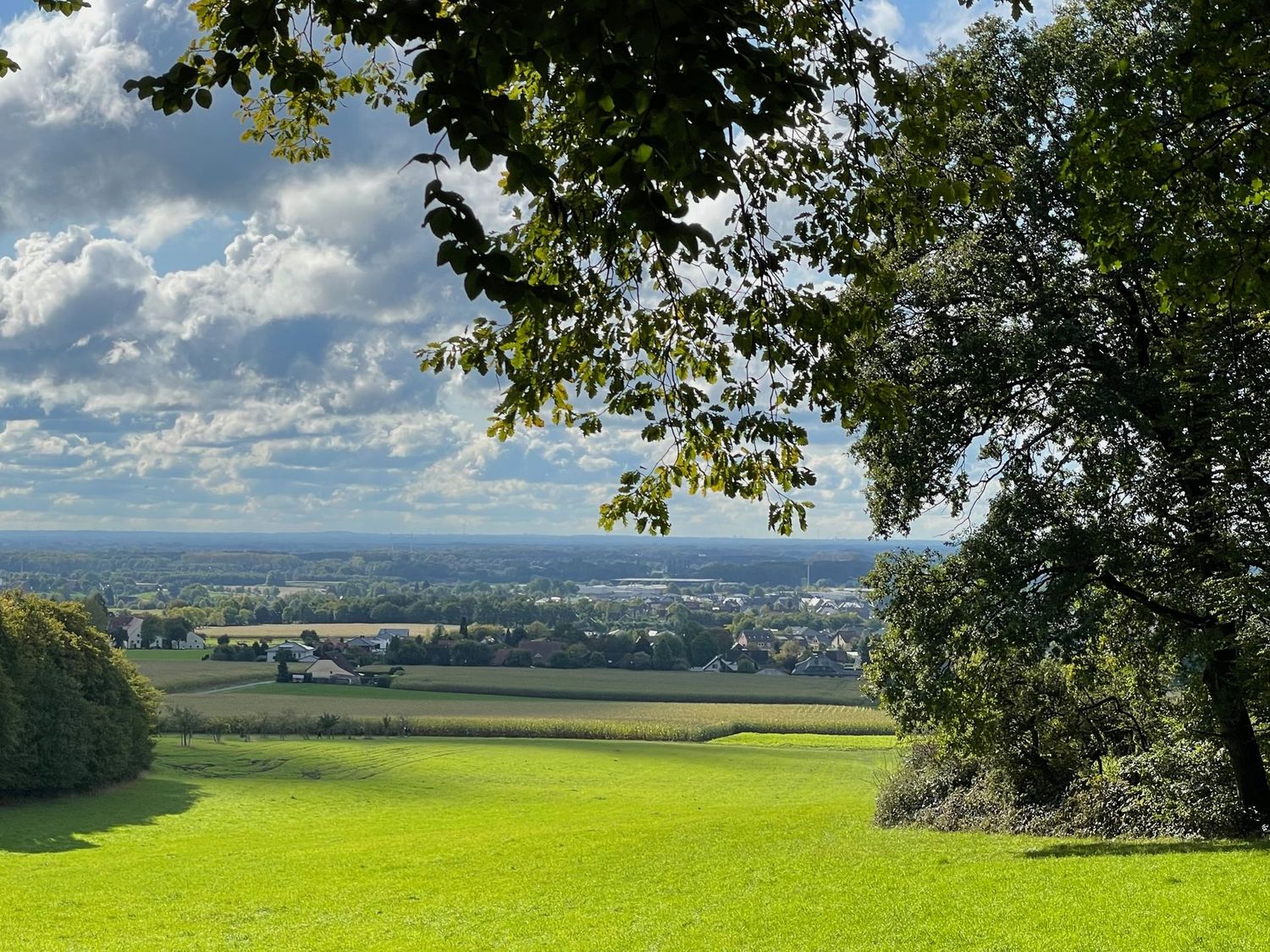 08.11.2026: Zu Steinegge und Hasequelle, 49201 Dissen am Teutoburger Wald