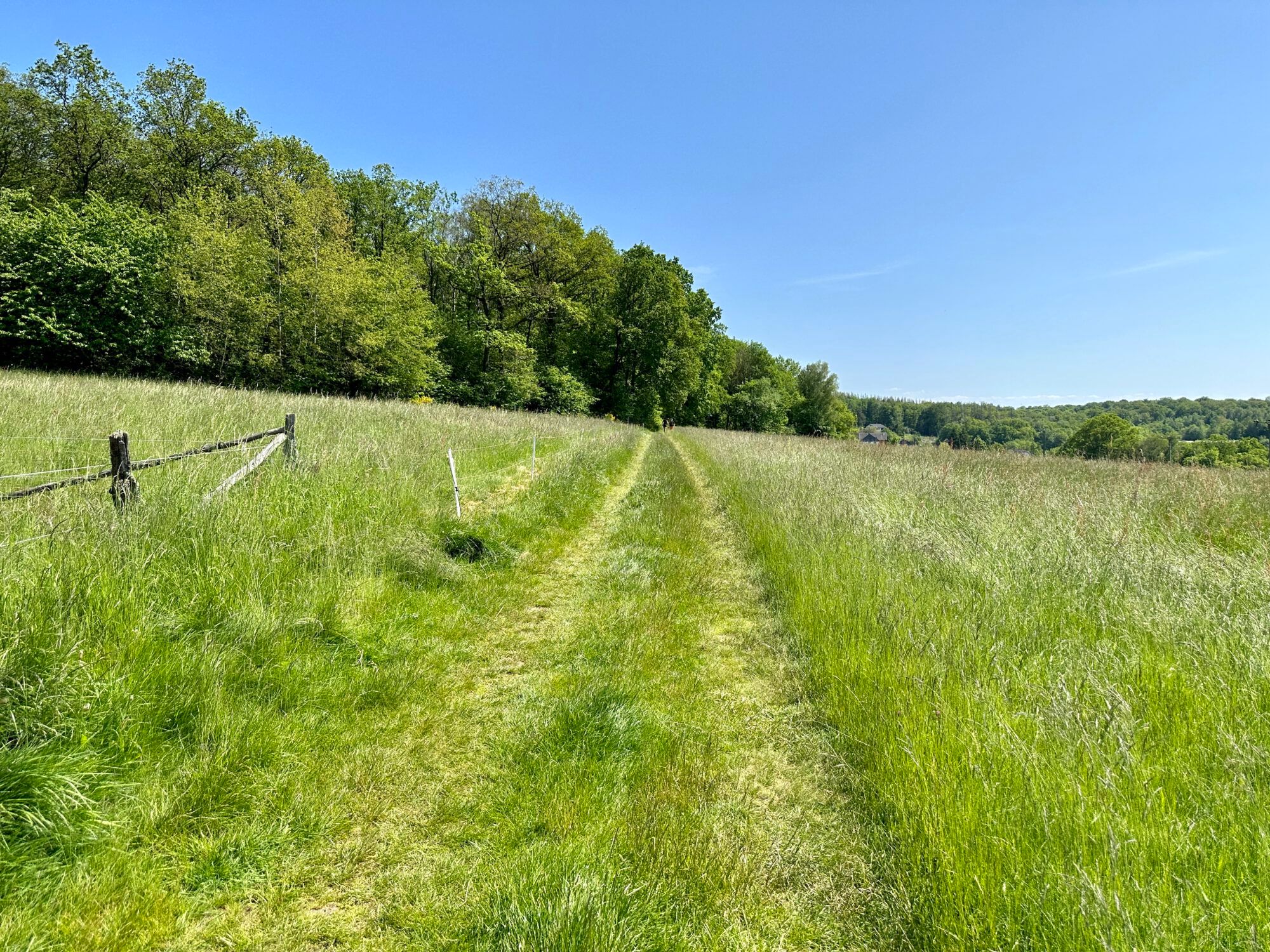 09.08.2026: Naturschutzgebiet Eifgenbachtal - entlang der Dhünn, 42929 Wermelskirchen