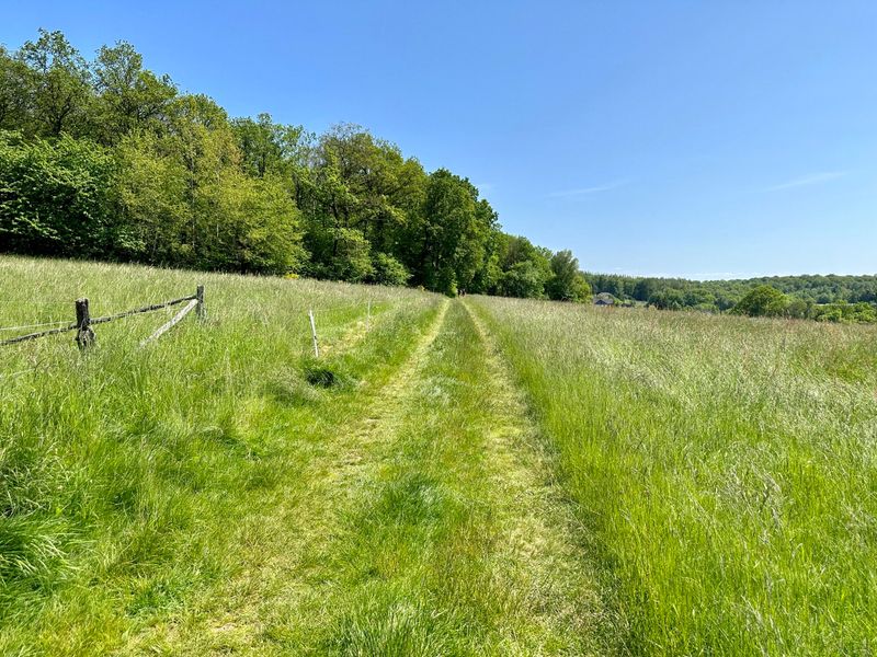 09.08.2026: Naturschutzgebiet Eifgenbachtal - entlang der Dhünn, 42929 Wermelskirchen