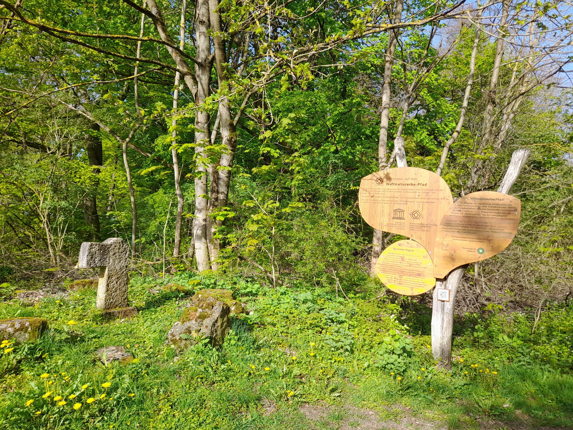 15.08.2026: Hainich Wanderweg / Craulaer Kreuz, 99820 Hörstelberg