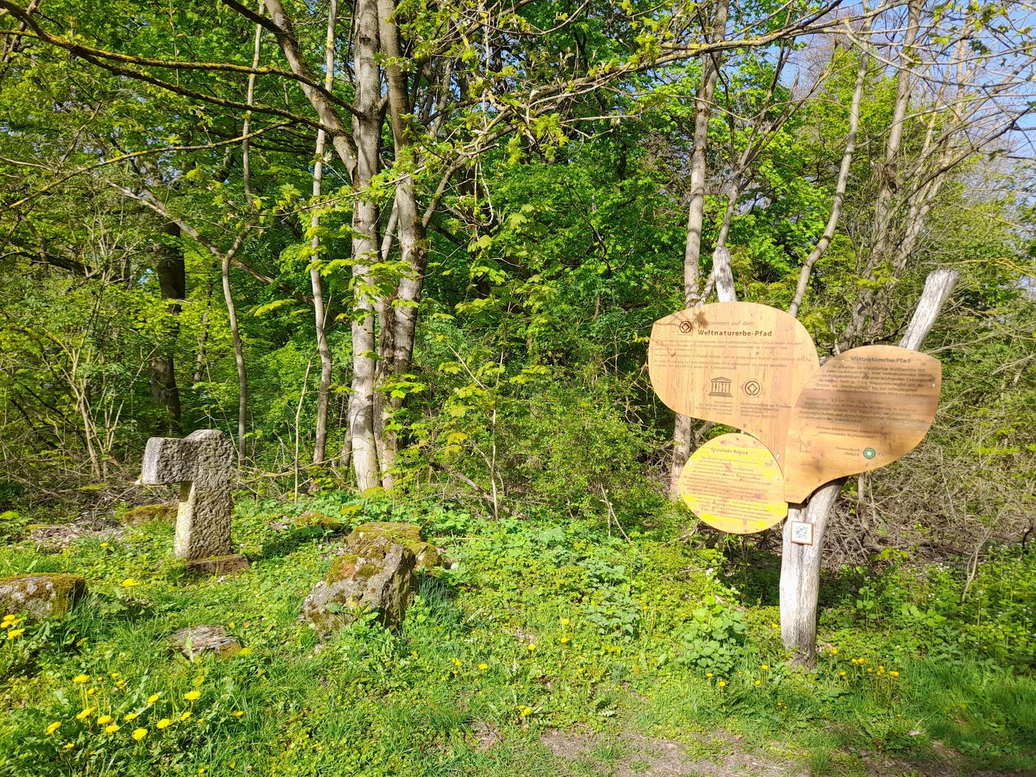 15.08.2026: Hainich Wanderweg / Craulaer Kreuz, 99820 Hörstelberg