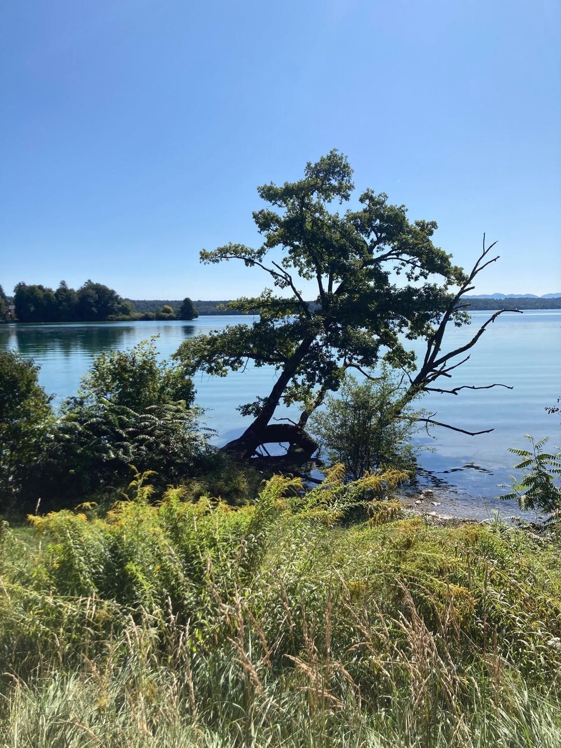 18.07.2026: Wanderung direkt am Starnberger See, 82327 Tutzing