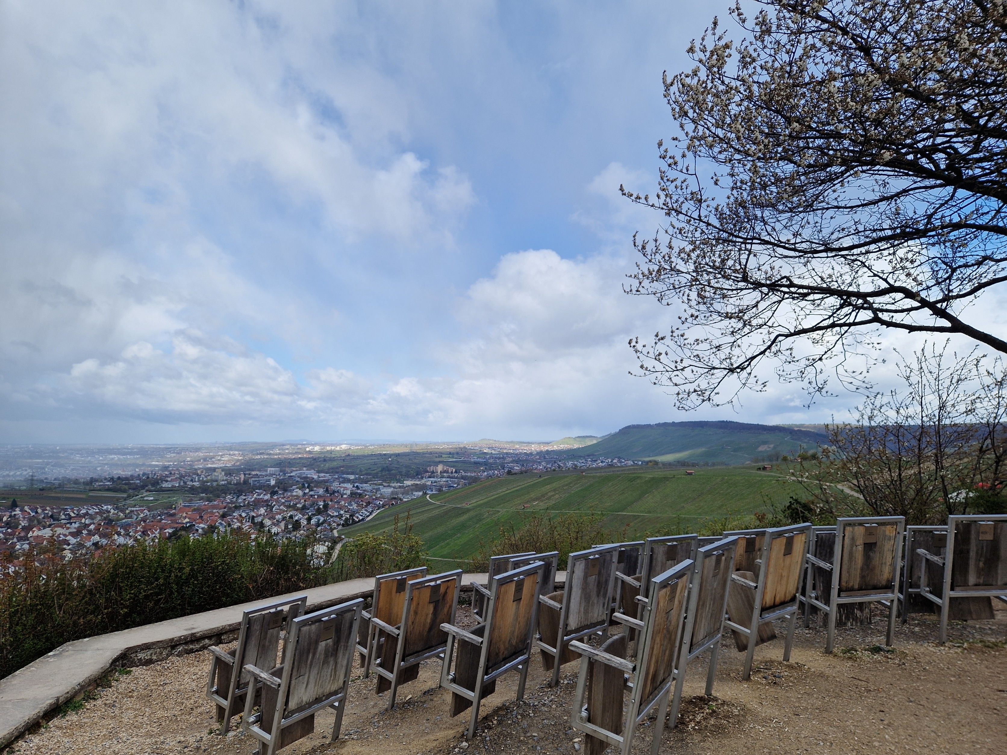 30.08.2026: Weinberge, Burg-Aussichten und Remstal-Kino, 71384 Weinstadt