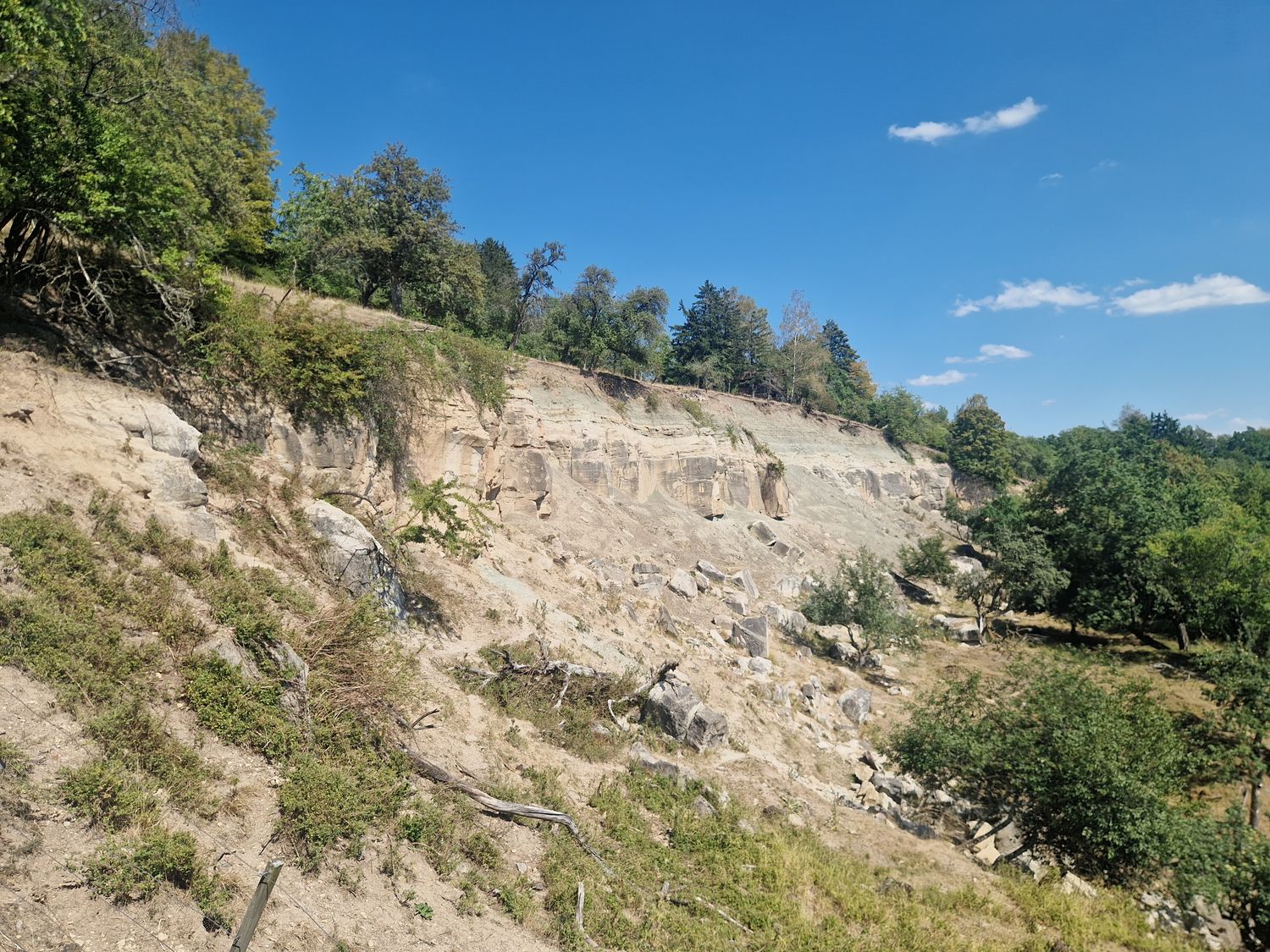 27.09.2026: Urbacher Bergrutsch – Remstal zwischen Streuobstwiesen und Wäldern, 73660 Urbach 27.09.2026: Urbacher Bergrutsch – Remstal zwischen Streuobstwiesen und Wäldern, 73660 Urbach