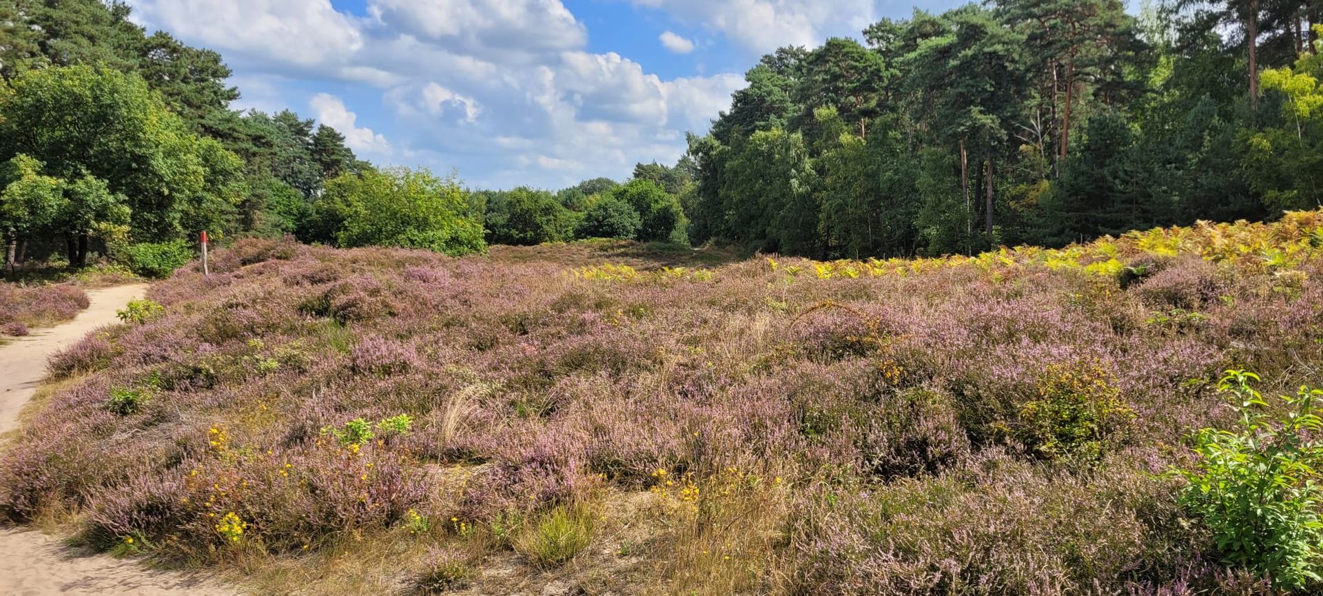 04.10.2026: Wahner Heide – Telegraphenberg-Tour, 53842 Troisdorf