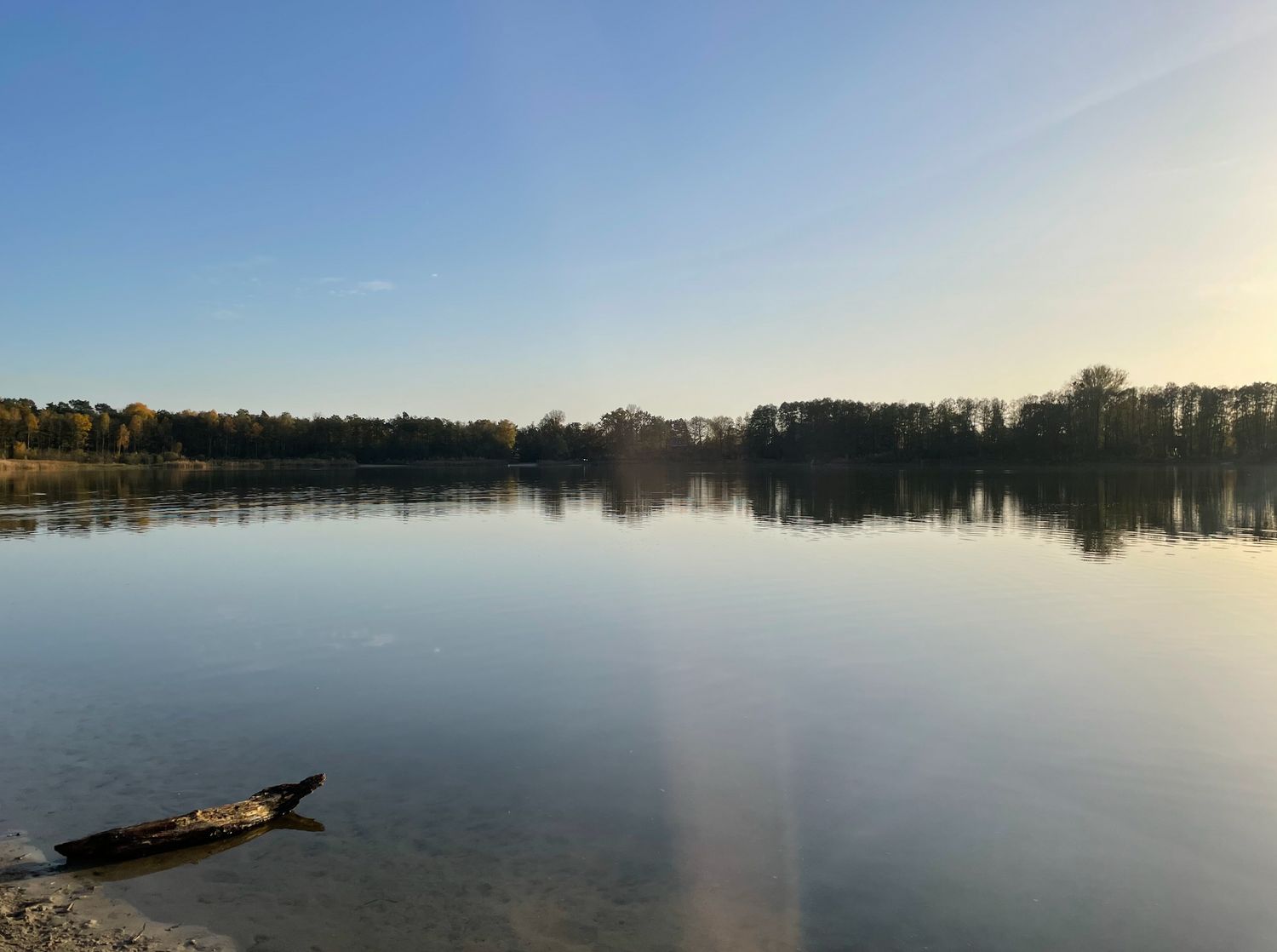 15.11.2026: Wanderung Naturpark Barnim / Schönower Heide, 16321 Bernau bei Berlin