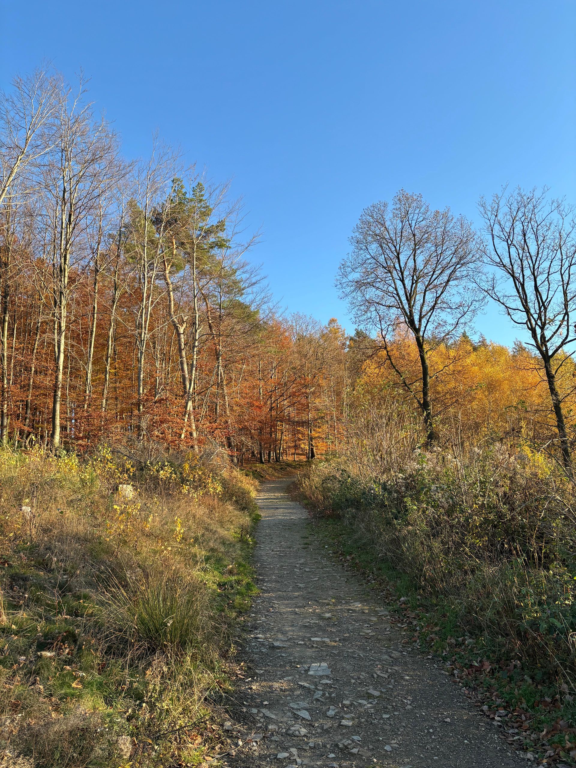 25.10.2026: Elfringhauser Schweiz - Auf Wegen mit Weitblick, 45527 Hattingen