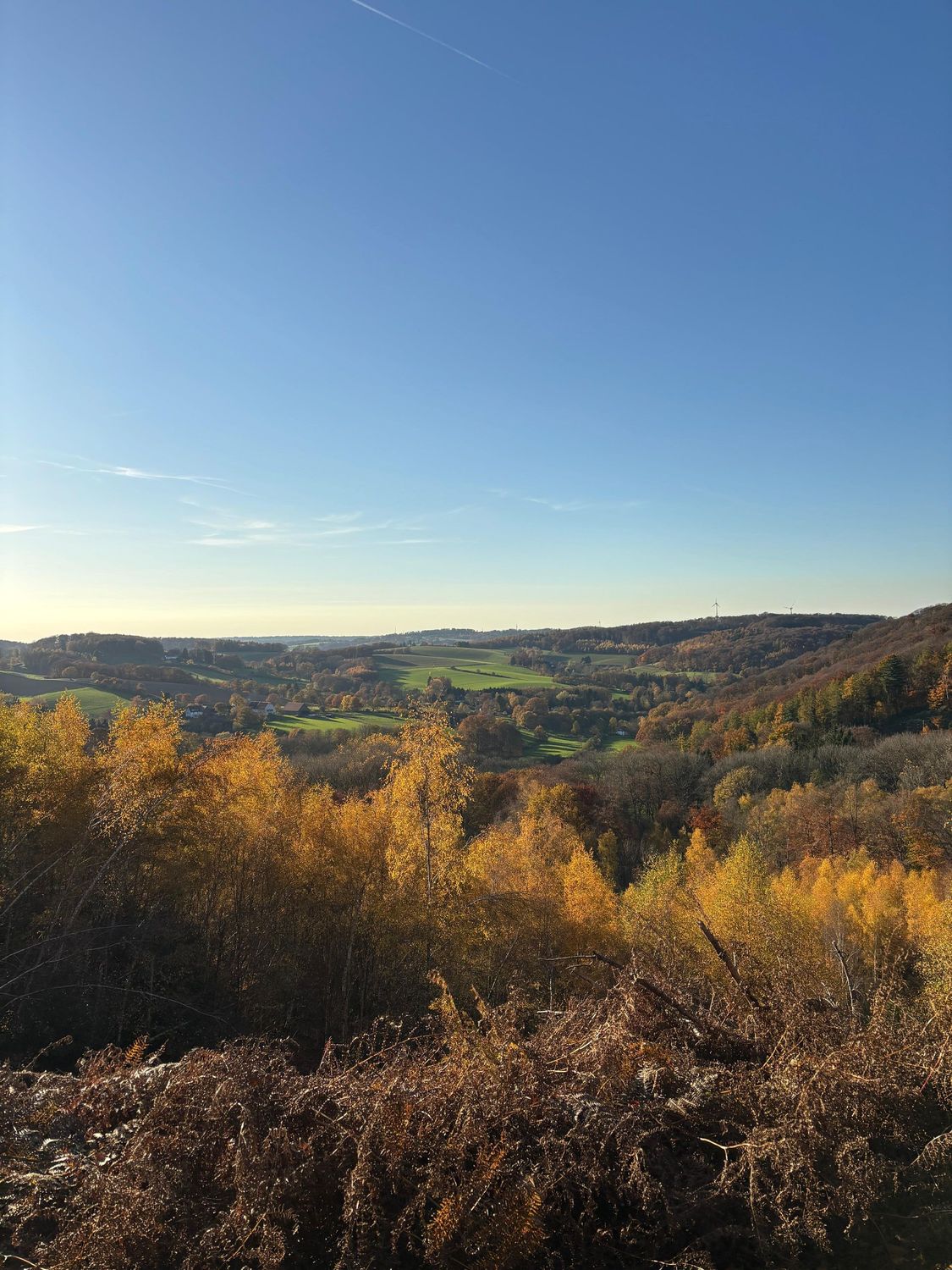 25.10.2026: Elfringhauser Schweiz - Auf Wegen mit Weitblick, 45527 Hattingen