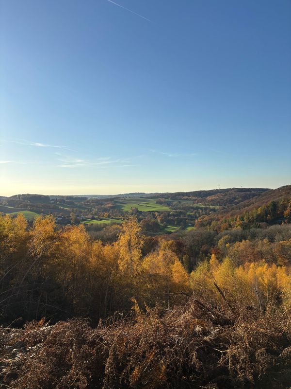 25.10.2026: Elfringhauser Schweiz - Auf Wegen mit Weitblick, 45527 Hattingen 25.10.2026: Elfringhauser Schweiz - Auf Wegen mit Weitblick, 45527 Hattingen