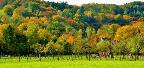 04.10.2026: Burgen und Schlösser im Indian Summer, 51789 Lindlar