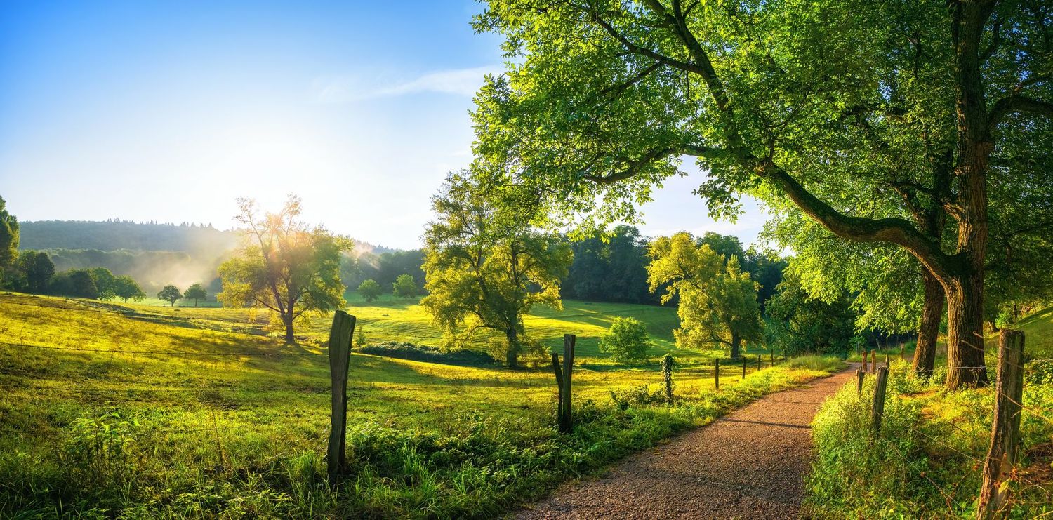 31.10.2026: SINGLEWANDERN® SPECIAL: Wandern & Ernährung – natürlich gesund, 51588 Nürmbrecht