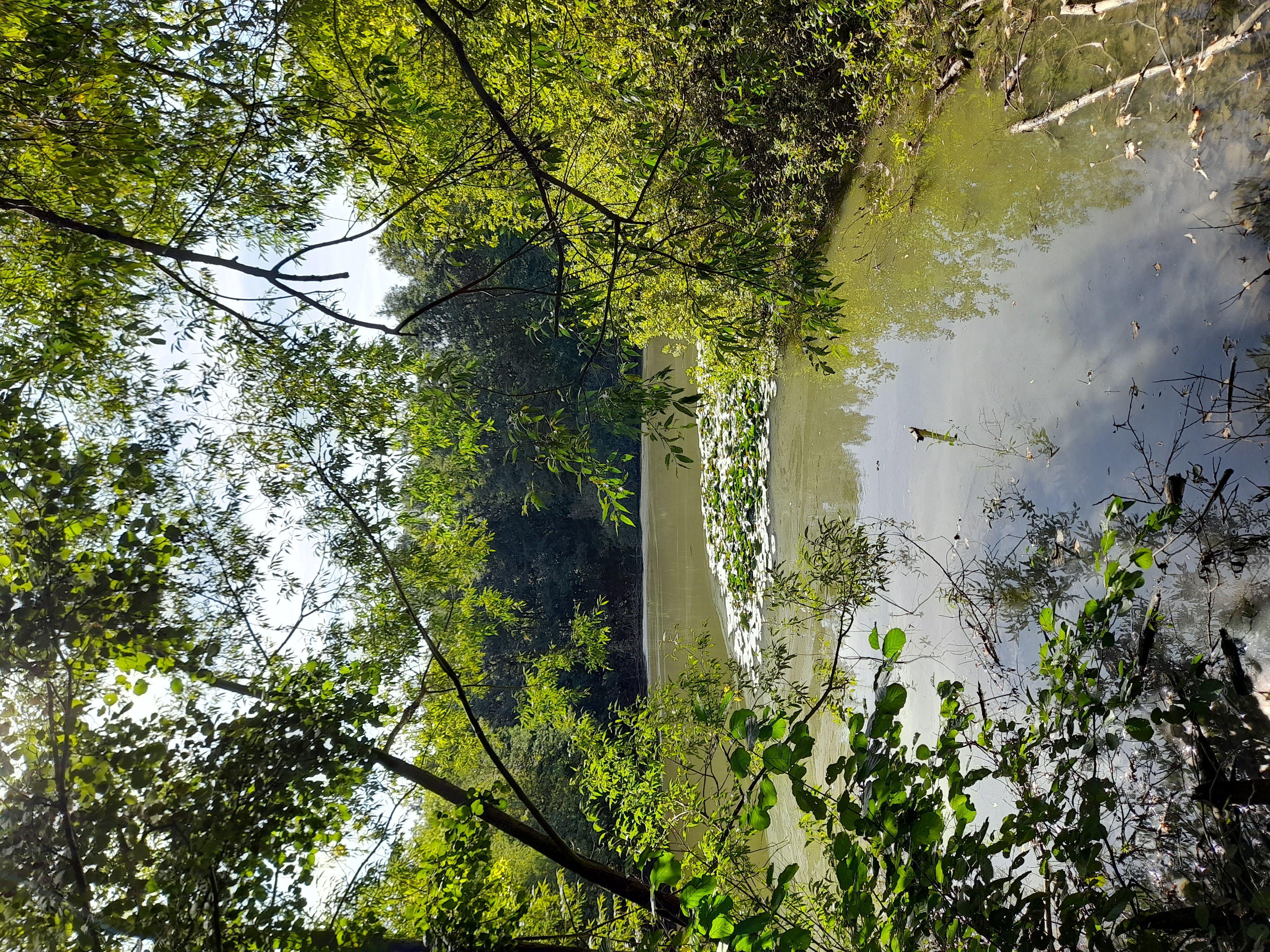 21.11.2026: Labyrinth am Feensteig - Düsteröder Teich Runde Forsthaus Thiemsburg, 99947 Unstrut-Hainich-Schönstedt