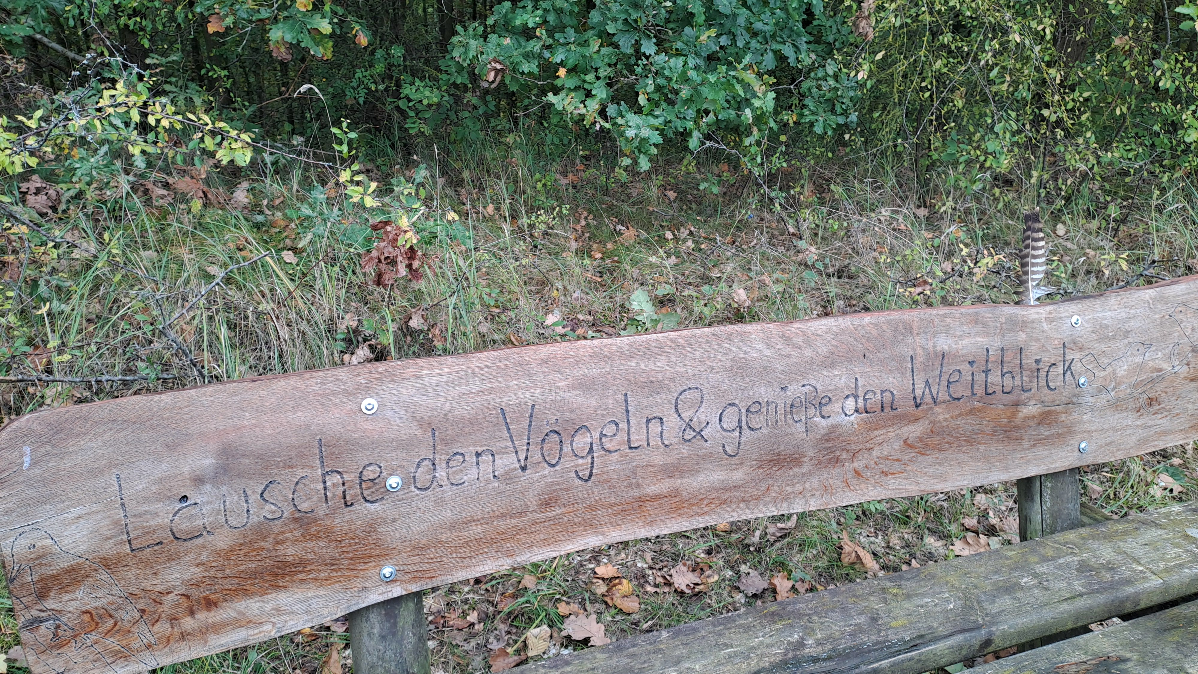 09.01.2027: Über den Historischen Pfad zum Blausteinsee, 52249 Eschweiler
