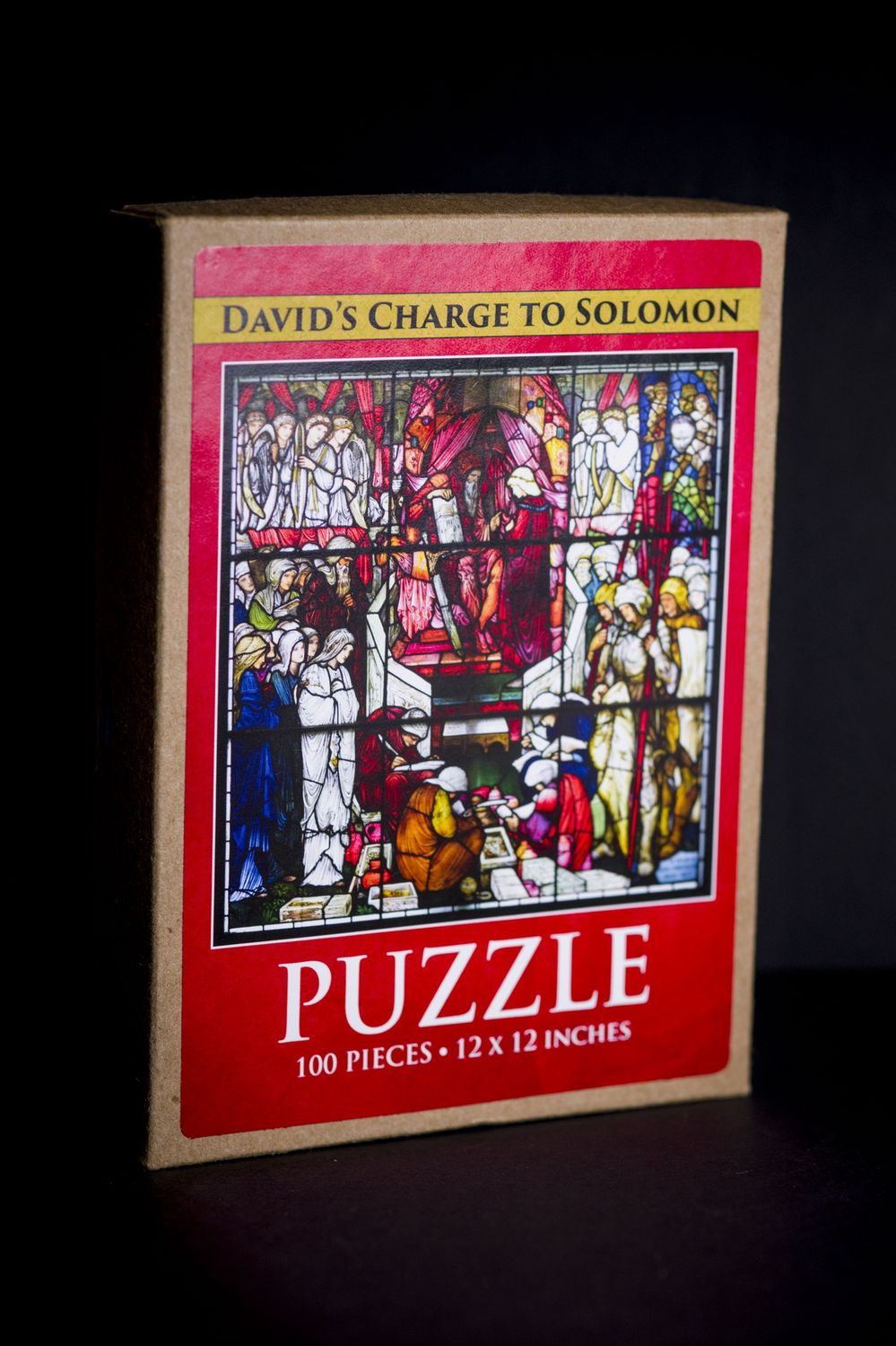 Puzzle |100 Pieces | [10060], Colour: David&#39;s Charge