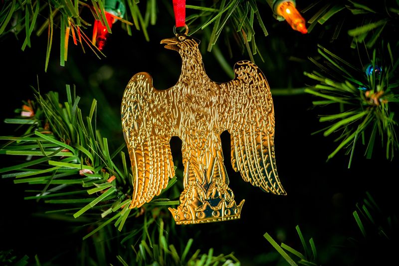 Ornament | Eagle Lectern | [DHEagle]