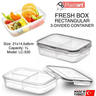 Rectangle Divided (LC-530)