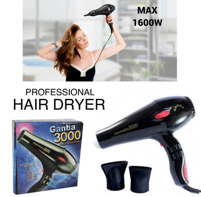 Ganba Hair Dryer