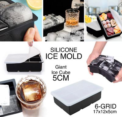6-Grid Ice Mold