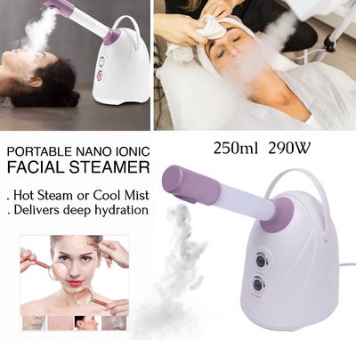 Ionic Facial Steamer