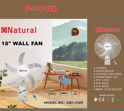 18” Wall Fan (ABH-250R)