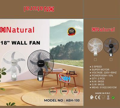 18” Wall Fan (ABH-100)