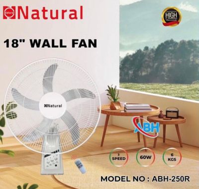 18” Wall Fan (ABH-250R)