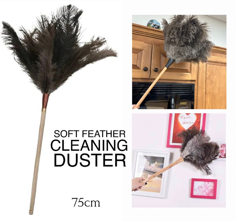 Feather Duster