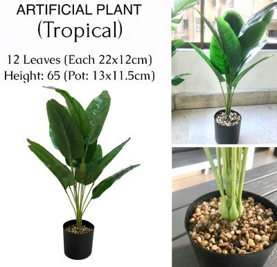 65cm Artificial Plant (Tropical)