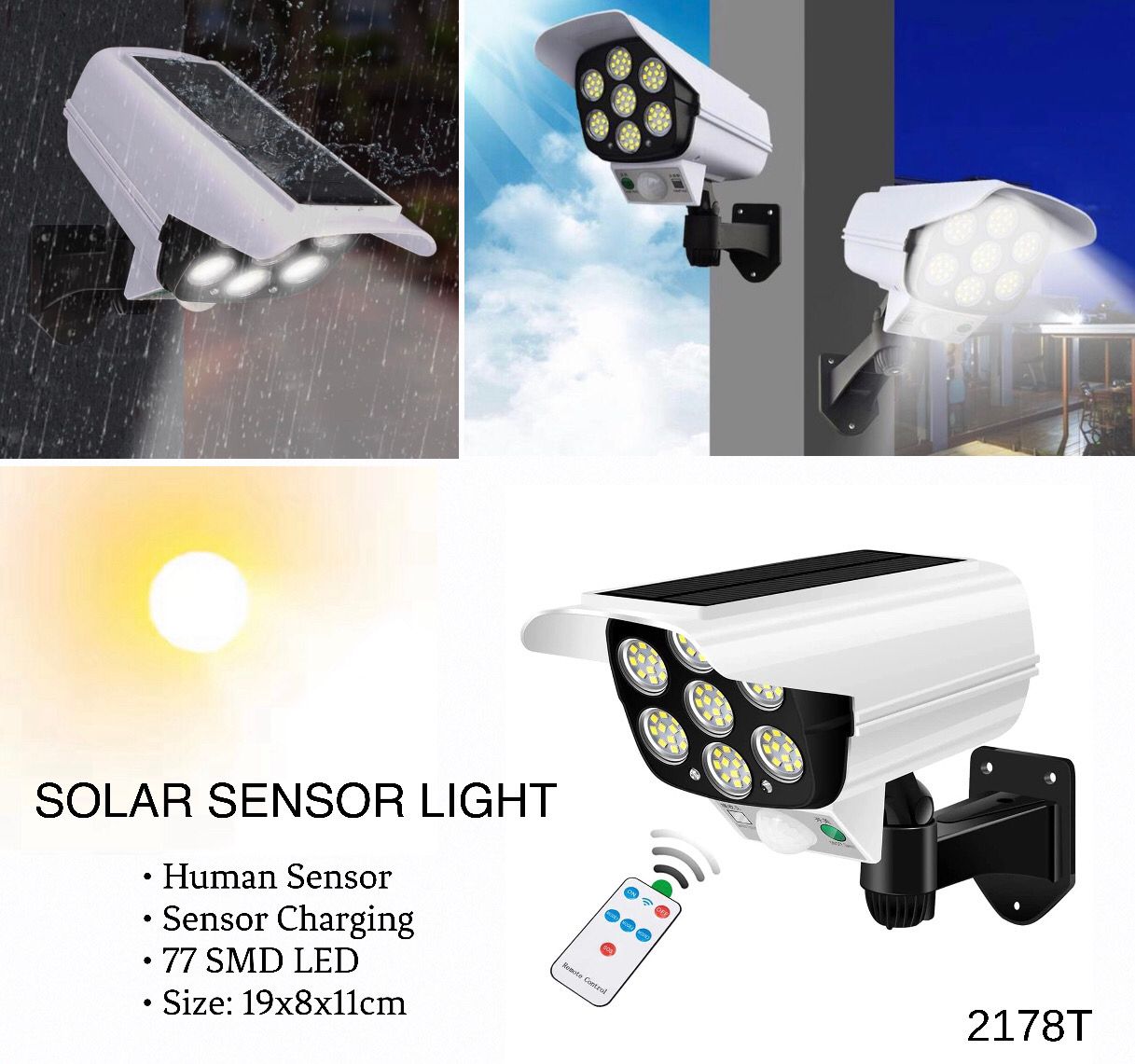 Solar Light (2178T)