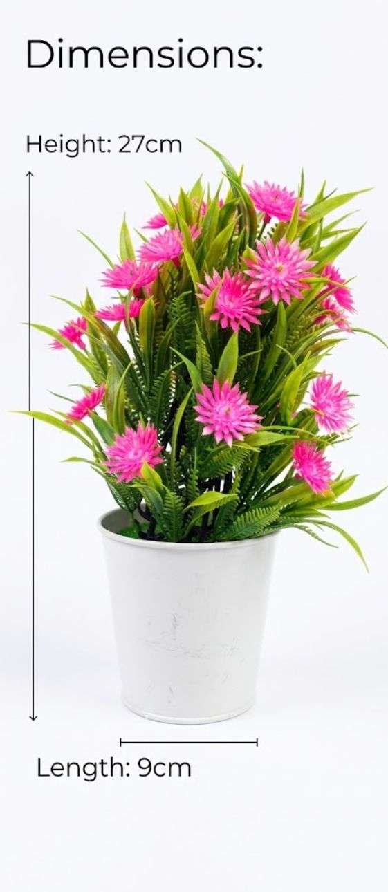 pink mini daisy