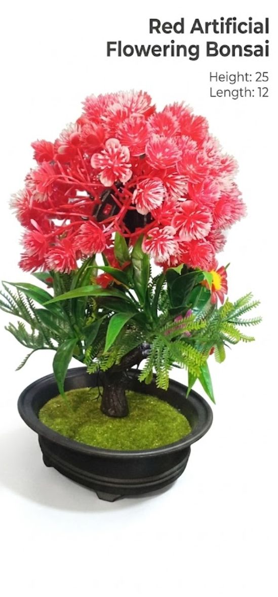 flowering bonsai