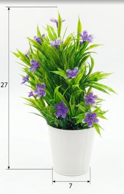 Purple Bonsai Tree