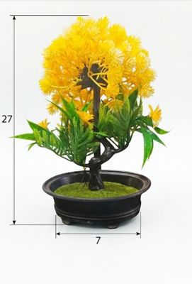 Yellow Bonsai Tree