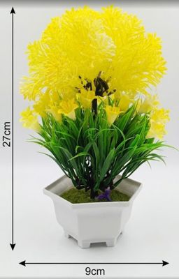 Yellow flowering bonsai
