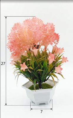 Pink flowering bonsai