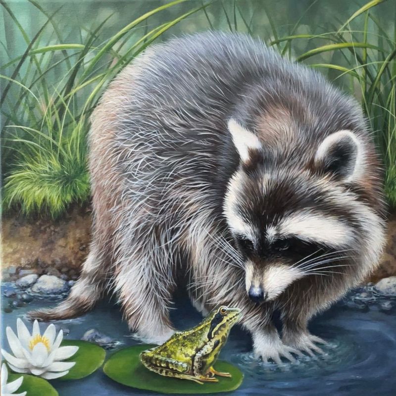 WASCHBÄR UND FROSCH - Original Acrylbild WASCHBÄR UND FROSCH - Original Acrylbild
