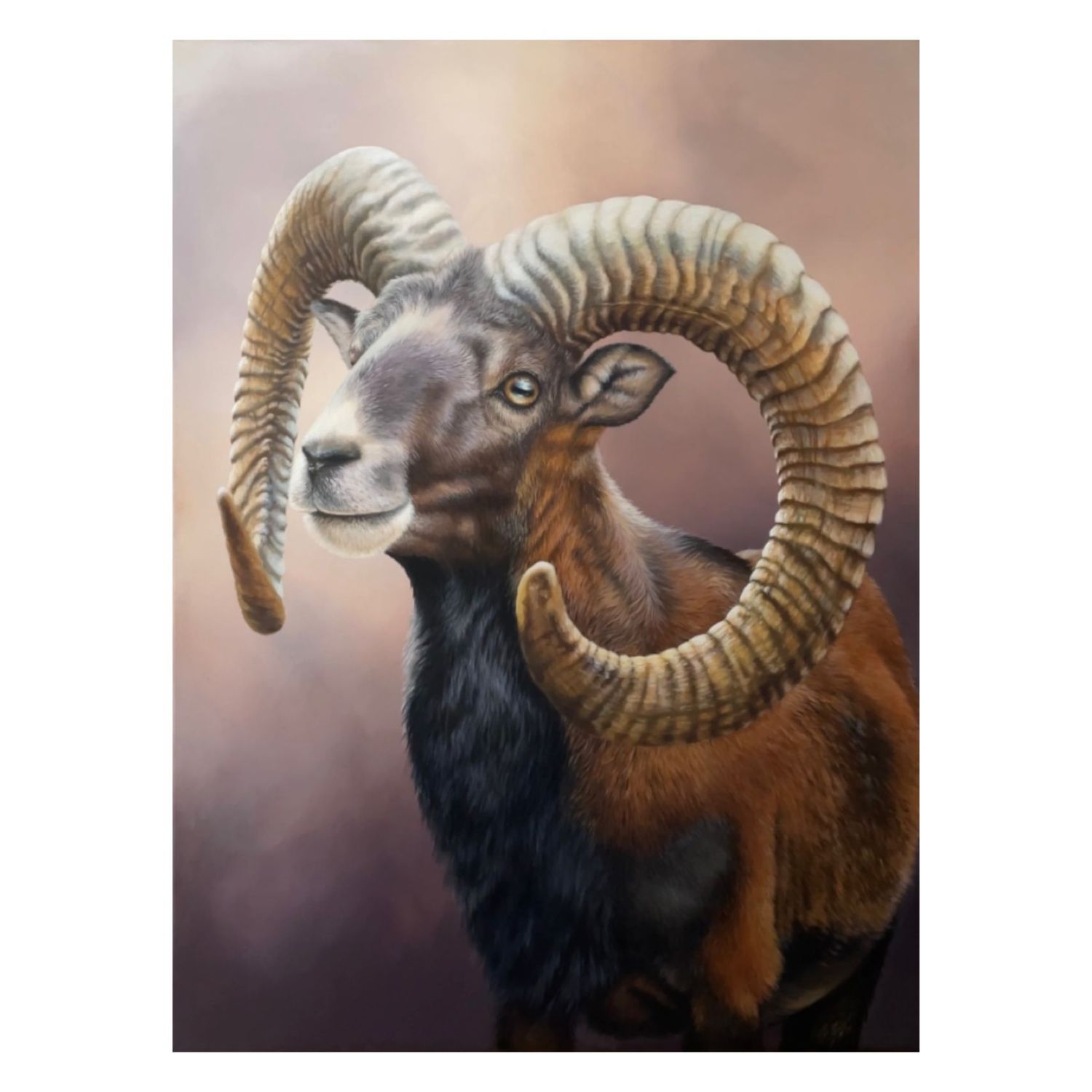 MUFFLON  - Original Acrylbild
