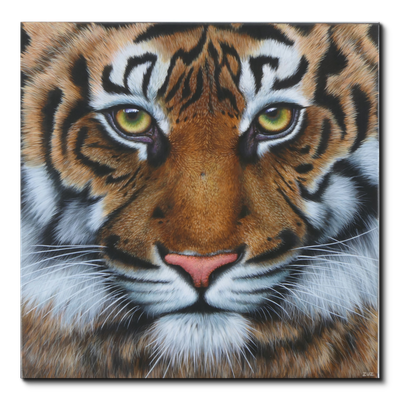 TIGER  - Original Acrylbild