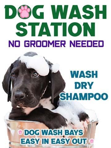 Dog Wash Station