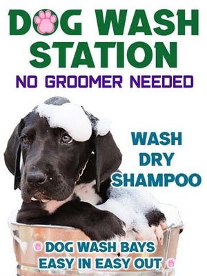 Dog Wash Station
