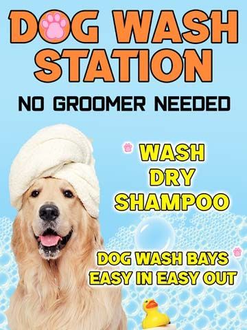 Dog Wash Station 2