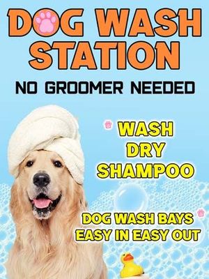 Dog Wash Station 2