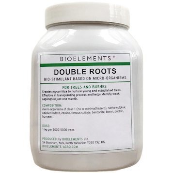 BE Double Roots