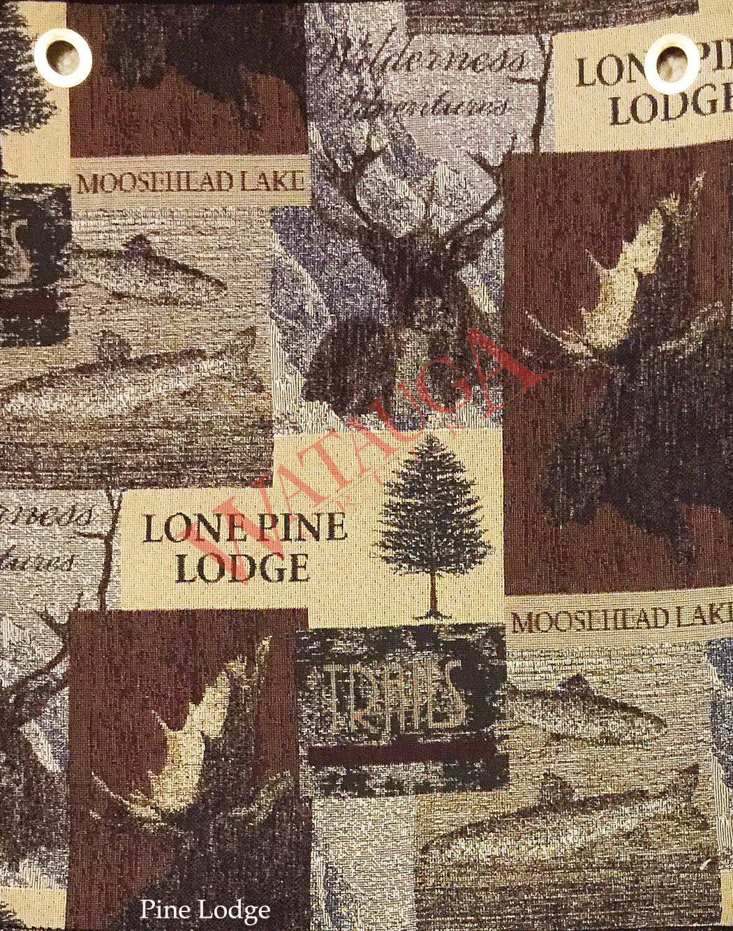 Pine Lodge