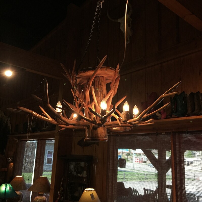 Mountain Laurel Chandelier