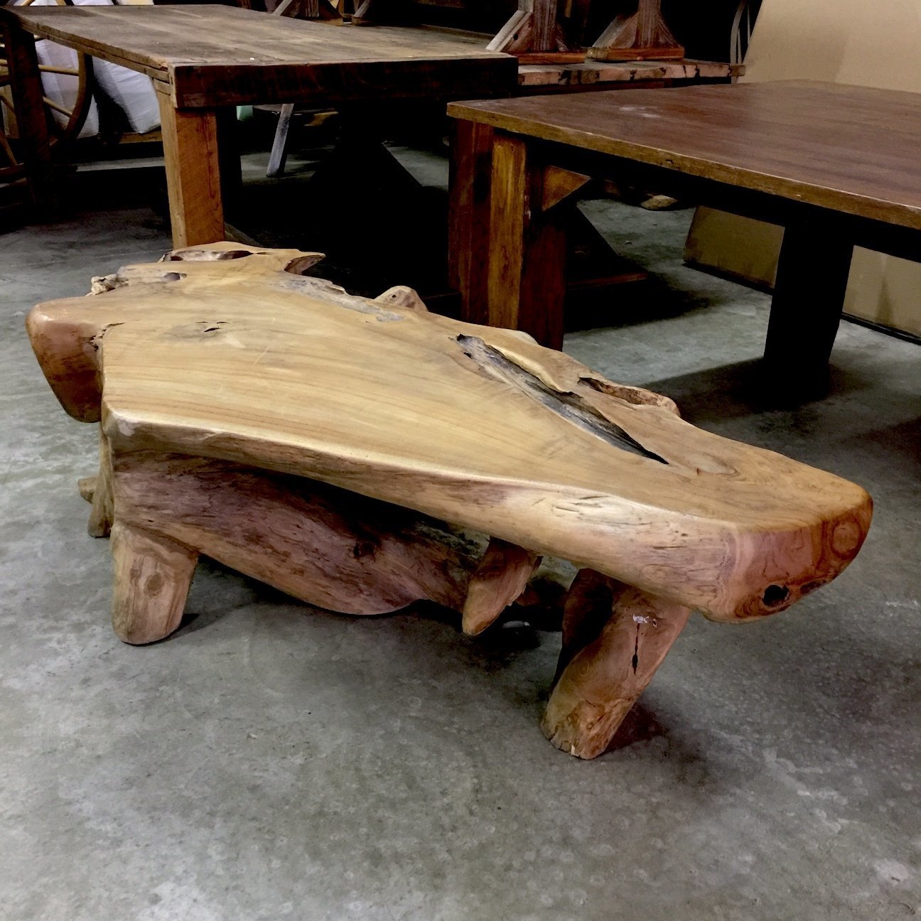 Large Teak Root Coffee Table