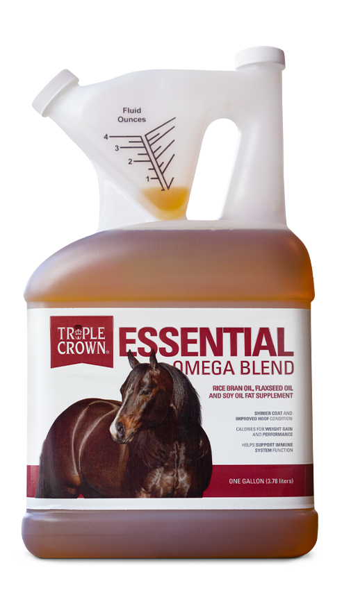 Essential Omega Blend Oil/Case