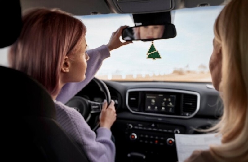 Air freshener and room fragrances Woodsy ECO spruce