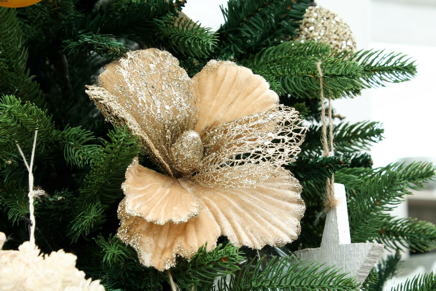 FIORE ORO  DIAM.17